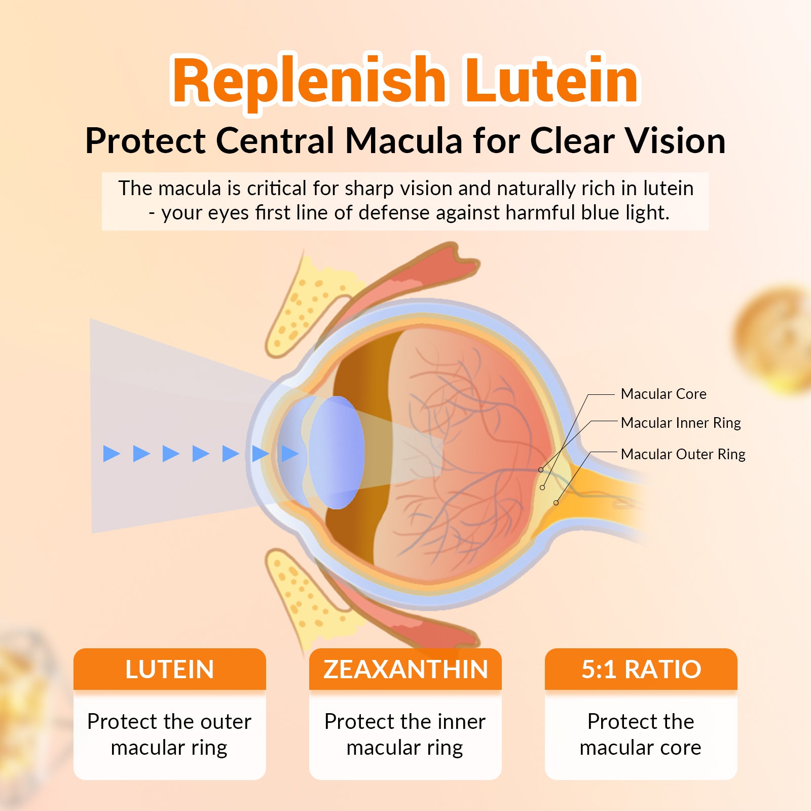 Lutein and Zeaxanthin Gummies Supplements Support Eye Health, 9 in 1 with Vitamin E and C, B-carotene, DHA, Zinc, Anthocyanin (Blueberry Extract), Complex Probiotics, Non-GMO, Gluten Free I 60 Gummies