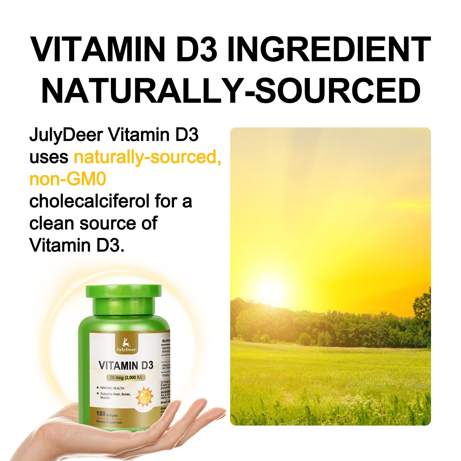 Vitamin D3 2000 IU (50 mcg) 180 Softgels | Supports Immune Health, Calcium Absorption & Bone Strength | Essential for Healthy Bones, Non-GMO, No-Gluten, 1 Serving Per Day for Daily Health